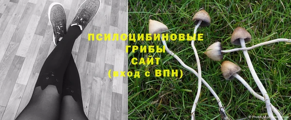 тгк Балабаново